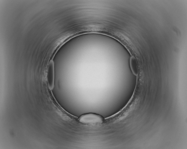 X0000112821081200908210955