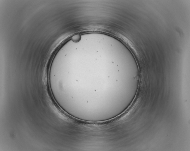X0000112821082200908210955