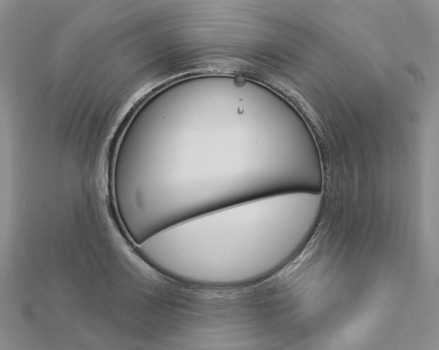 X0000112821083200908210955