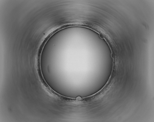 X0000112821085200908210955