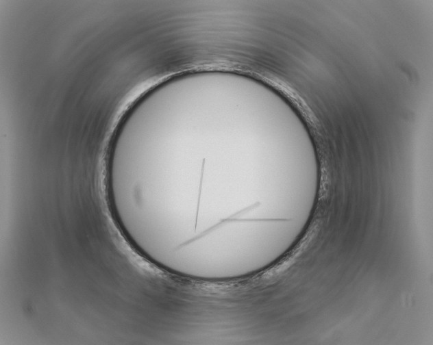 X0000112821086200908210955