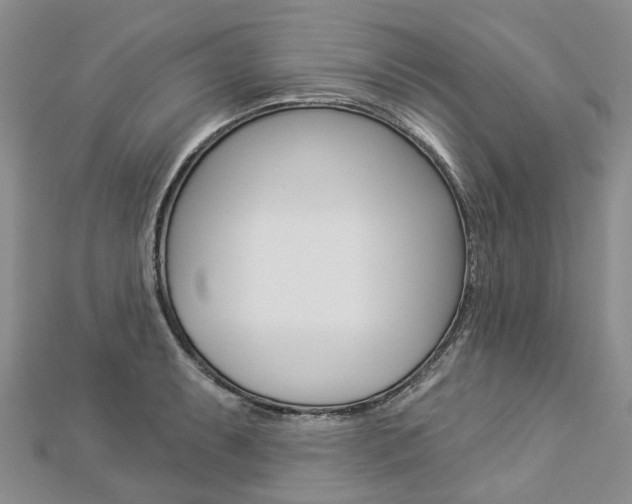 X0000112821087200908210955