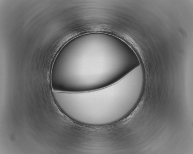 X0000112821089200908210955