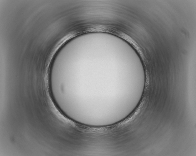 X0000112821090200908210955