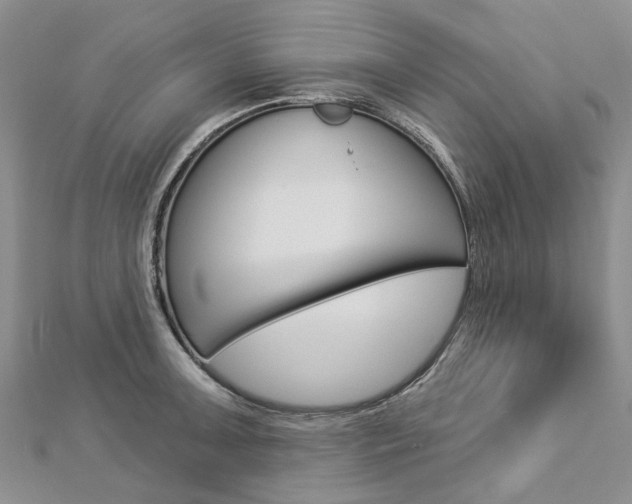 X0000112821091200908210955