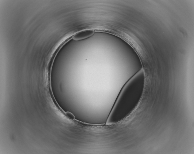 X0000112821092200908210955