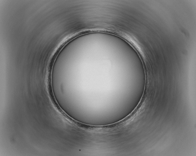 X0000112821093200908210955