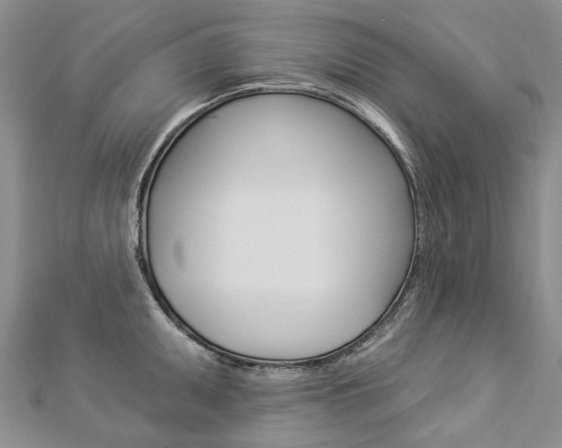 X0000112821095200908210955