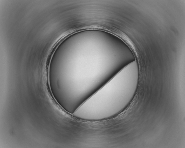 X0000112821096200908210955