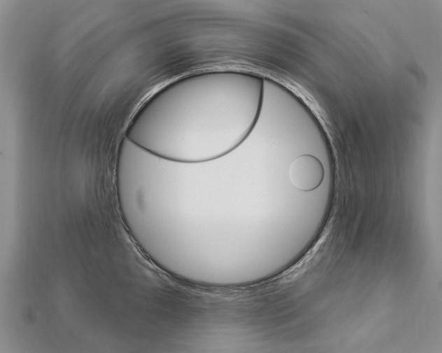 X0000112821097200908210955