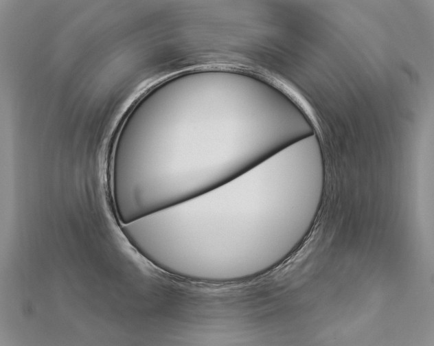 X0000112821099200908210955