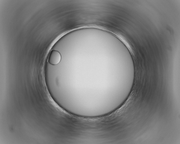 X0000112821100200908210955