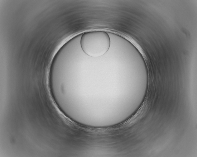 X0000112821101200908210955