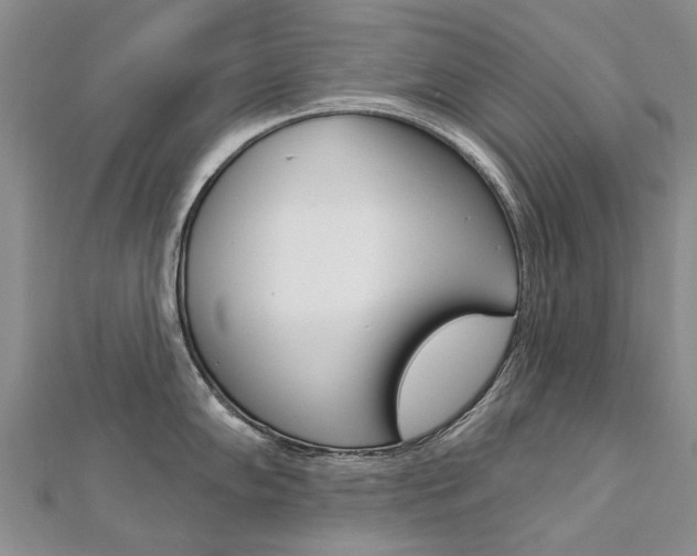 X0000112821102200908210955