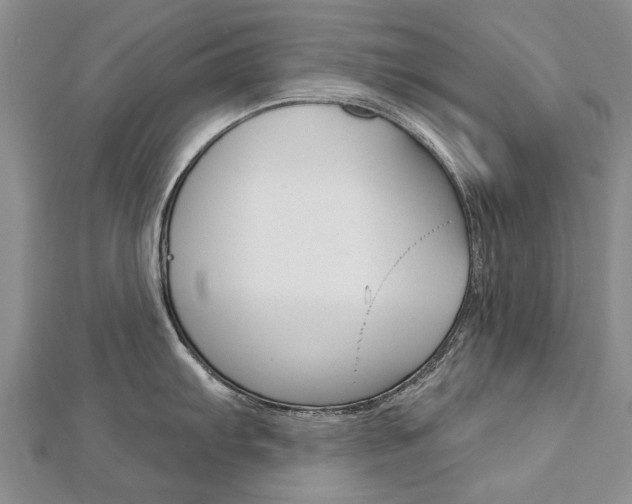 X0000112821103200908210955