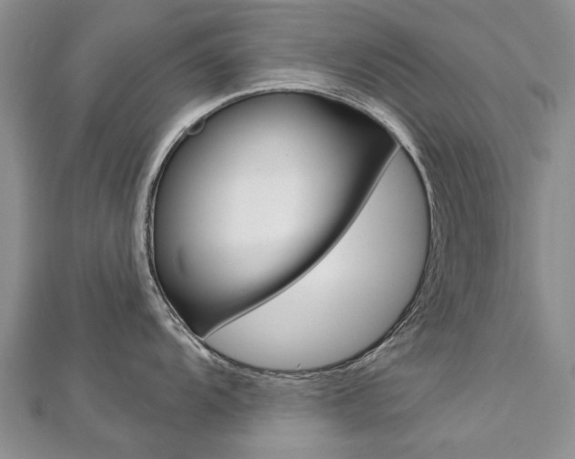 X0000112821104200908210955