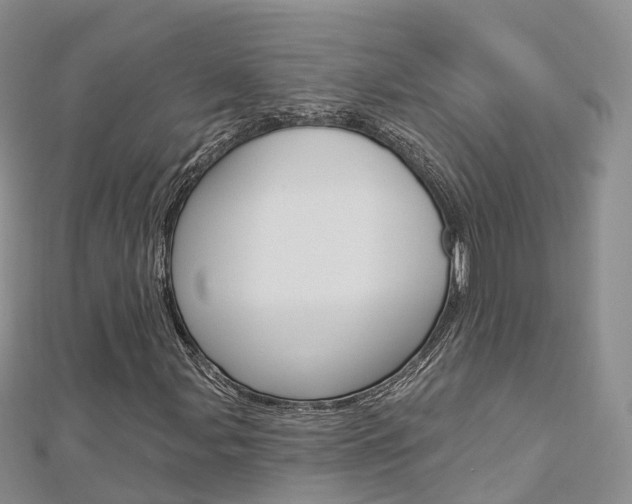 X0000112821107200908210954