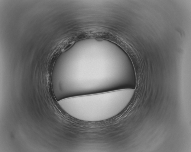 X0000112821108200908210954