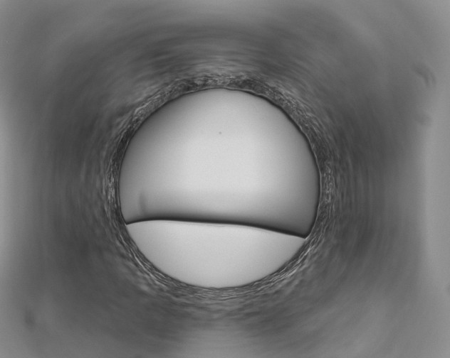 X0000112821109200908210954