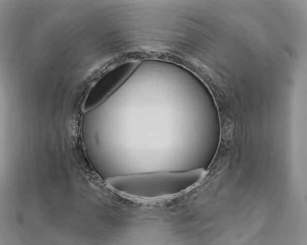 X0000112821110200908210954