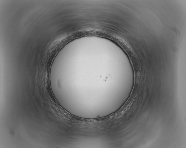 X0000112821111200908210954