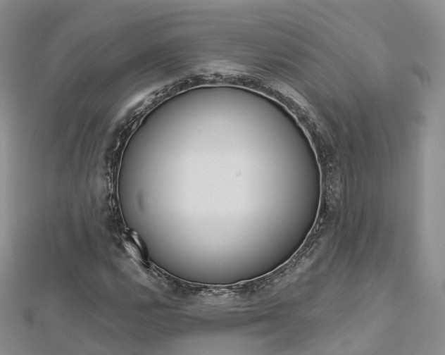 X0000112821112200908210954