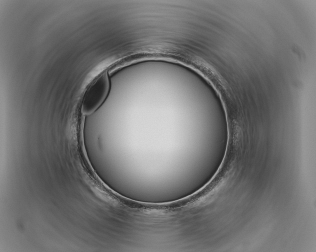 X0000112821114200908210954