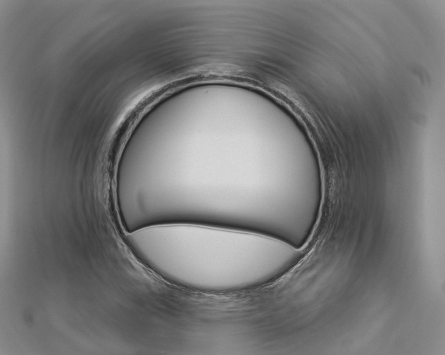 X0000112821115200908210954