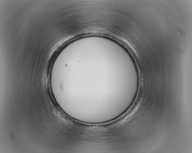 X0000112821117200908210954