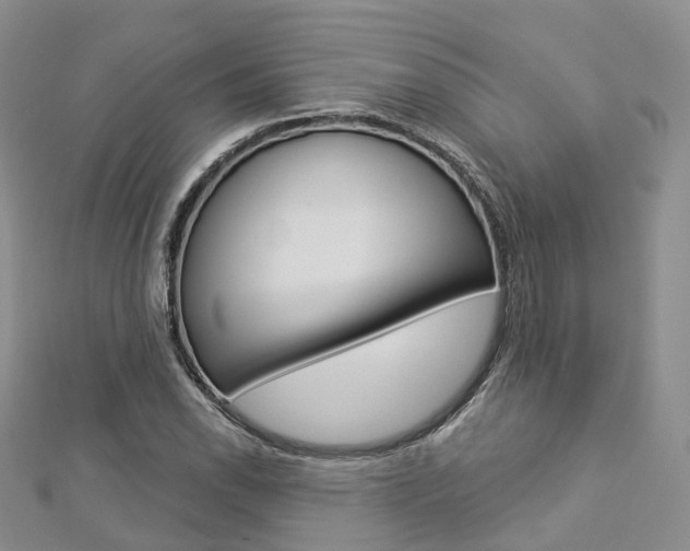 X0000112821118200908210954