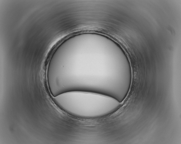 X0000112821119200908210954