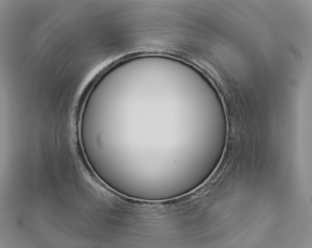 X0000112821120200908210954