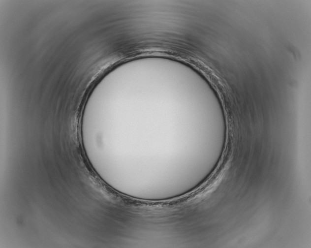 X0000112821121200908210954