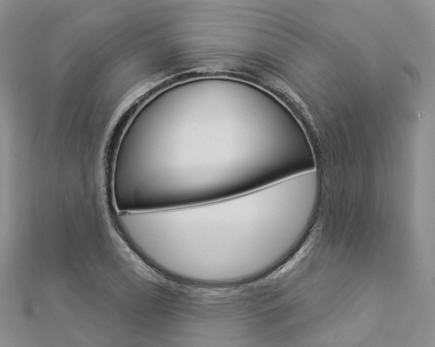 X0000112821122200908210954