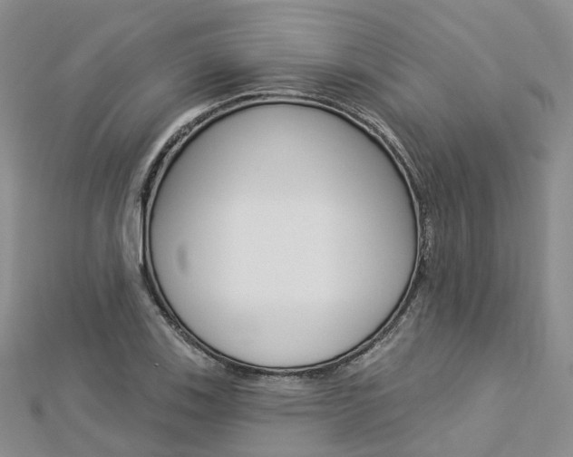 X0000112821123200908210954