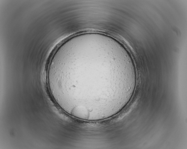 X0000112821125200908210954