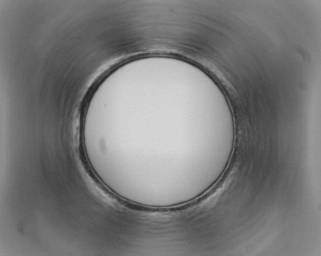 X0000112821126200908210954