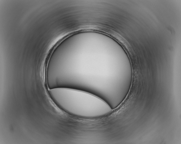 X0000112821127200908210954