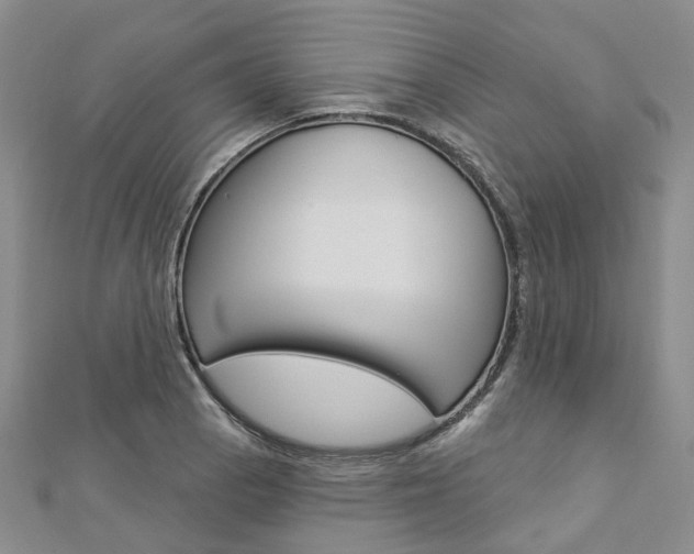X0000112821129200908210954
