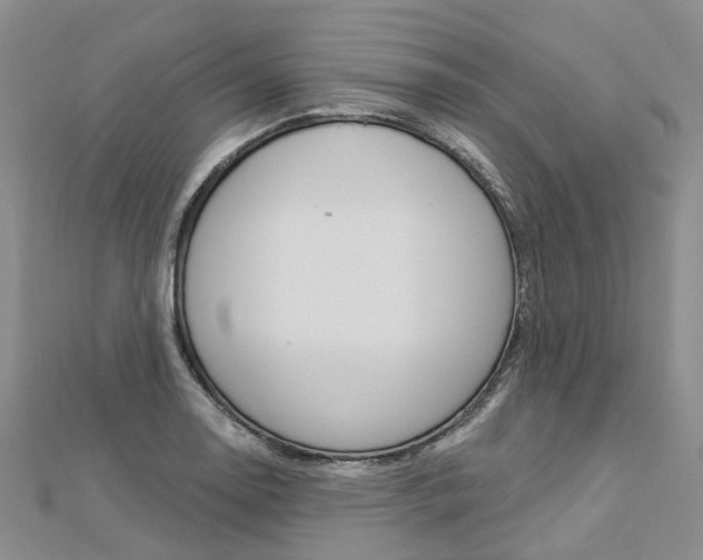 X0000112821130200908210954