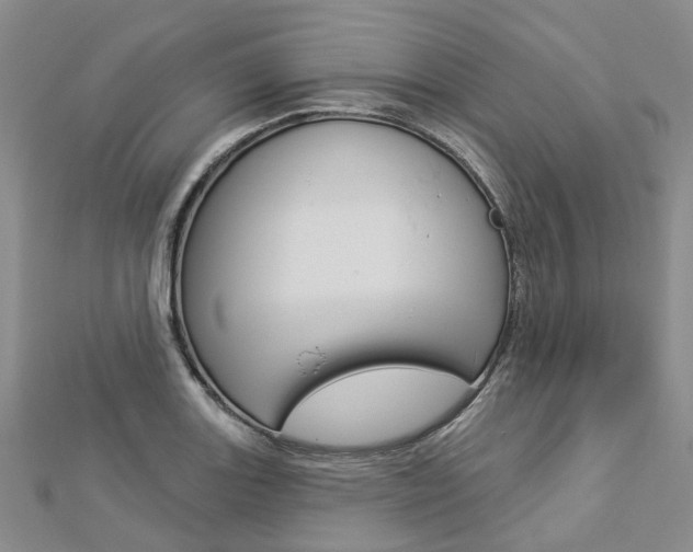 X0000112821131200908210954