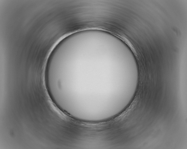 X0000112821132200908210954