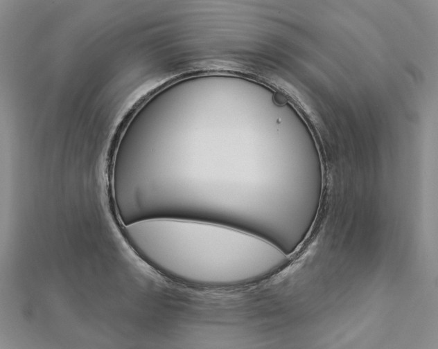 X0000112821133200908210954