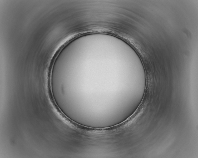 X0000112821134200908210954