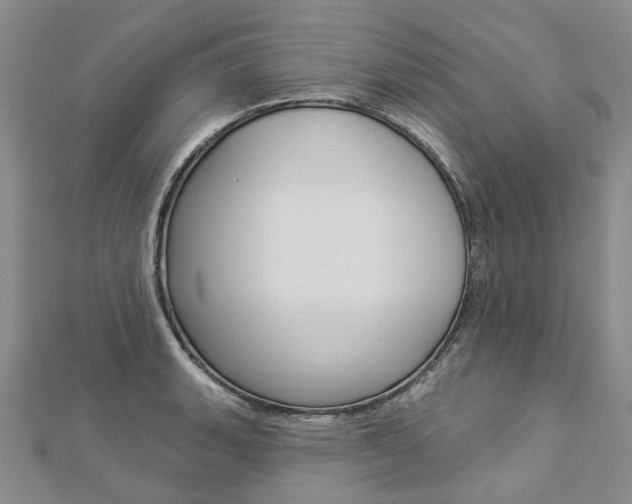 X0000112821135200908210954