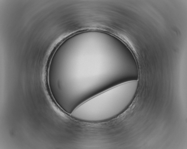 X0000112821136200908210954
