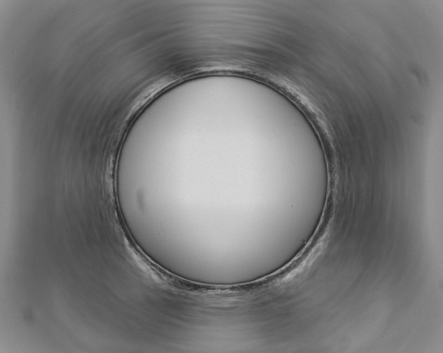 X0000112821137200908210955
