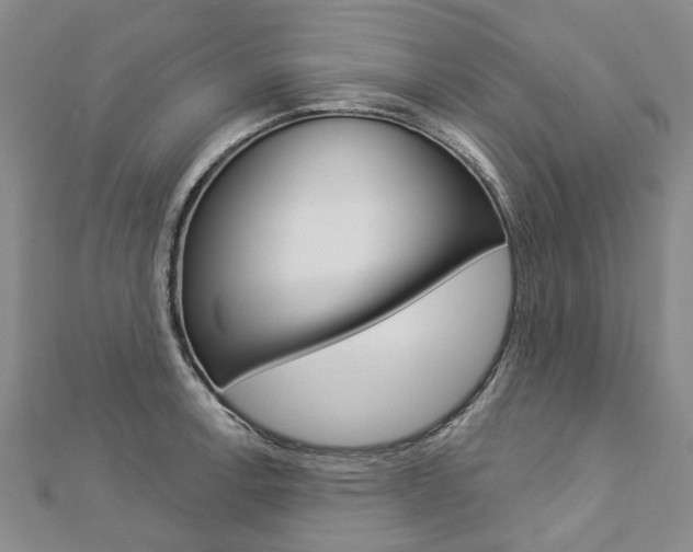 X0000112821138200908210955