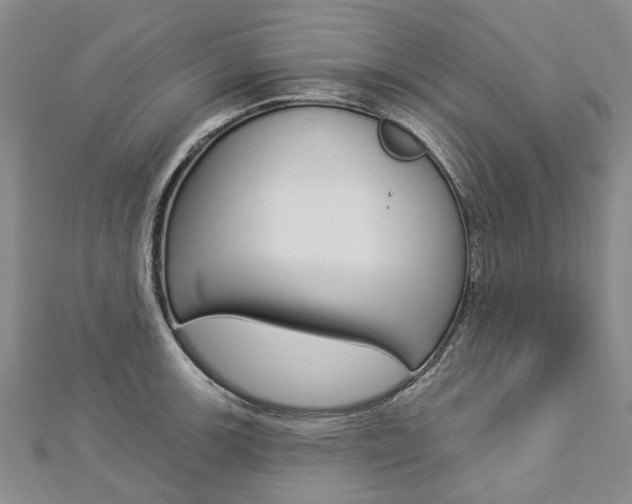 X0000112821139200908210955