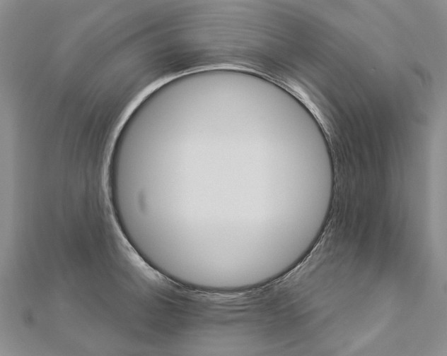 X0000112821140200908210955